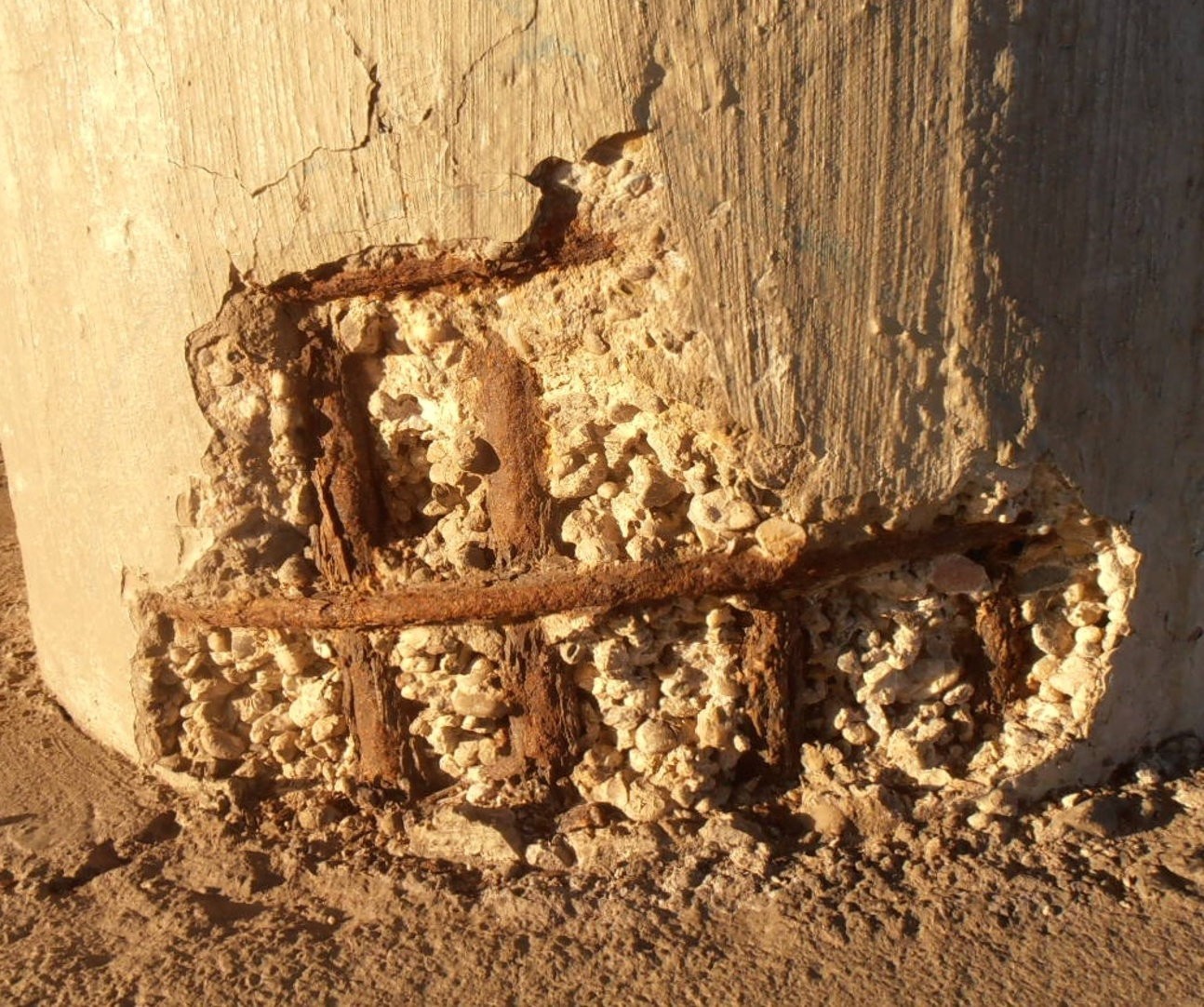 "Рак бетона". Источник: Sarang/Wikimedia Commons