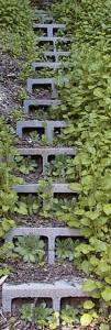 cottage-E-steps