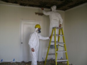 How-to-Get-Rid-of-Black-Mold-4
