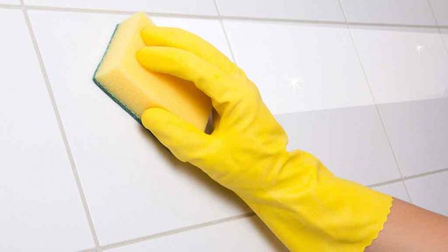 Чем вывести плесень на стенах в квартире. Частое мытье стен в ванной и кухне - хороший способ предупредить появление плесени, так как на стенах со временем накапливается не вполне видимый глазу налет - благоприятная среда для плесени