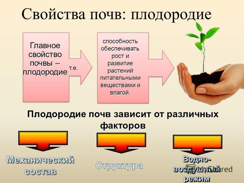 Образовании и повышении плодородия