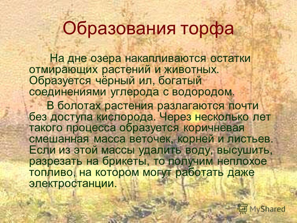 Значение торфа