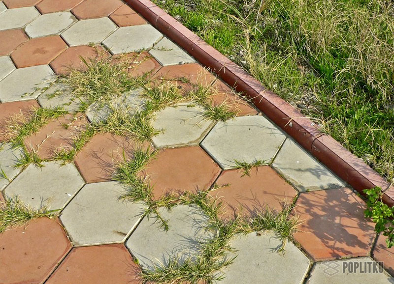 Как избавиться от травы между тротуарной плиткой: эффективные способы 13-3