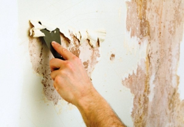 Во время ремонта часто возникает вопрос как удалить старую краску со стены