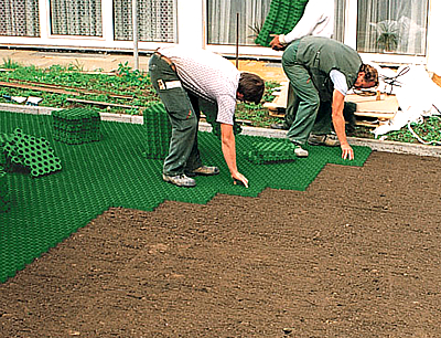Газонная решетка для защиты газонной травы