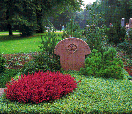 Многолетняя трава для могилы картинка