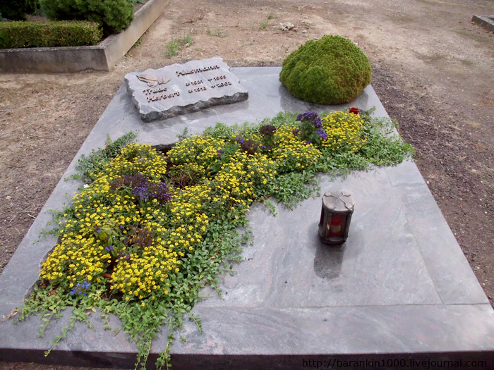Какие цветы посадить на кладбище
