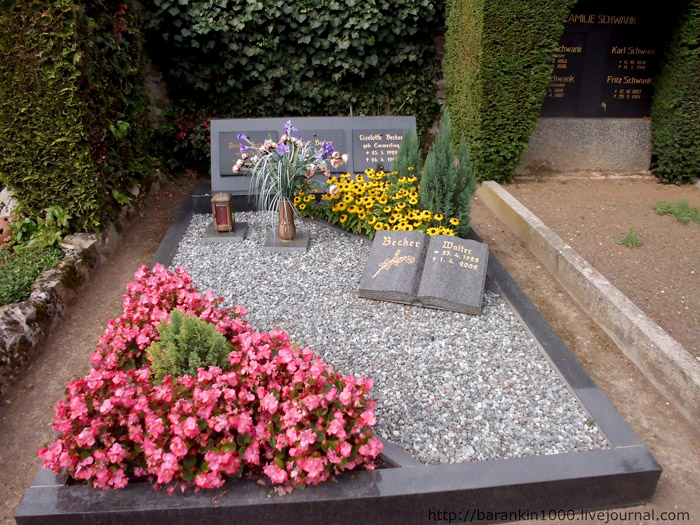 какие цветы посадить на кладбище