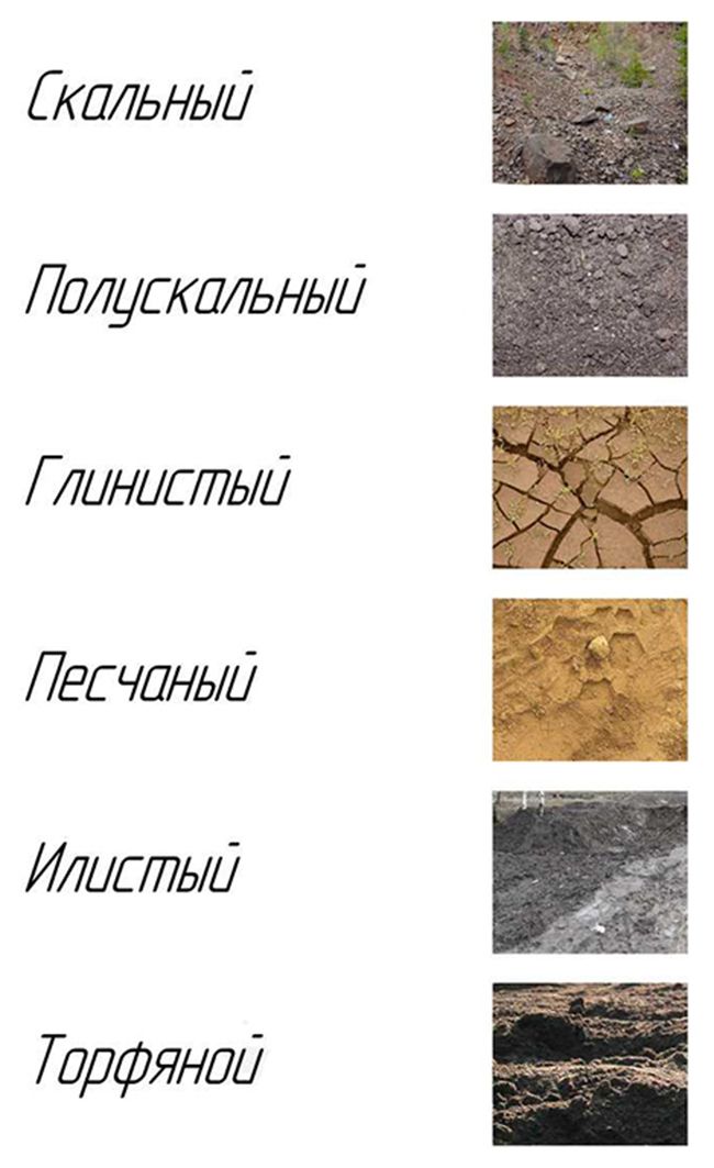 Типы почв